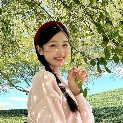 候鸟之爱